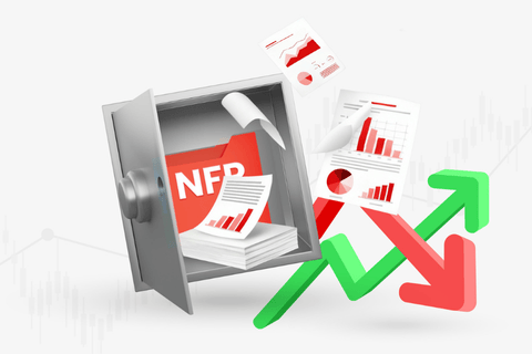 us shutdown nfp reports